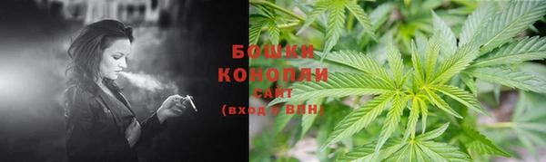 ECSTASY Богородицк